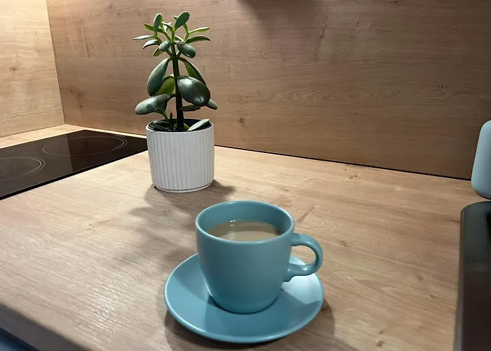 Blue Ivy App Salatic Besplatno Koristenje Elektricnih Bicikala Apartman *