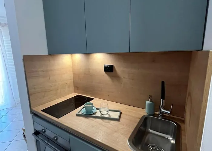 Apartman Blue Ivy App Salatic Besplatno Koristenje Elektricnih Bicikala Vrh (Krk)